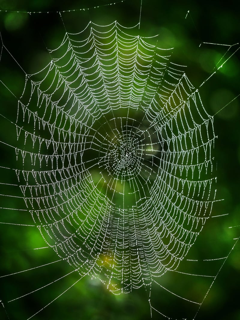 Industry Connections